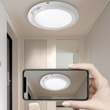 Load image into Gallery viewer, Motion Sensor Ceiling Light