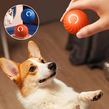 Load image into Gallery viewer, Electric Rolling Pet Toy Ball