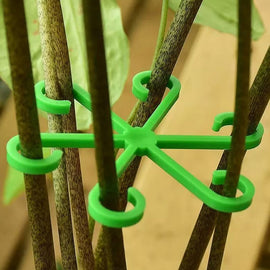 Monstera support retainer sets