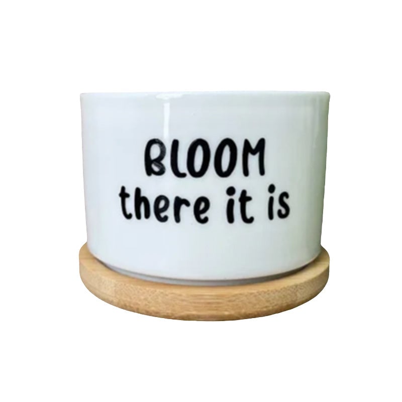 Funny Unique Succulent Pots