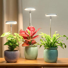 Load image into Gallery viewer, Indoor Plant Growth Light