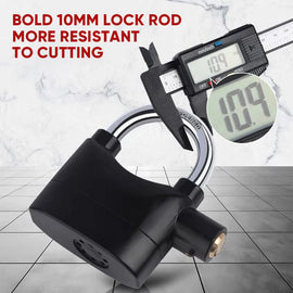 Anti-Theft Alarm Lock