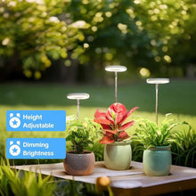 Load image into Gallery viewer, Indoor Plant Growth Light