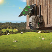 Load image into Gallery viewer, Solar camouflage camera