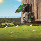 Solar camouflage camera