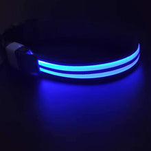 Load image into Gallery viewer, Dual Fiber Nighttime Luminous Dog Collar