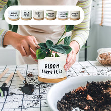 Load image into Gallery viewer, Funny Unique Succulent Pots
