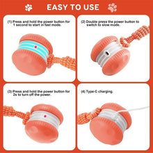 Load image into Gallery viewer, Interactive Dog Toys