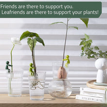 Load image into Gallery viewer, Plant Propagation Buddy