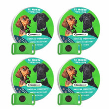 Load image into Gallery viewer, 12 Months Flea and Tick Free