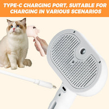 Load image into Gallery viewer, 3 in 1 Spray Cat Brush