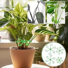 Load image into Gallery viewer, Monstera support retainer sets