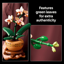 Load image into Gallery viewer, 3D preserved flower assembly toy