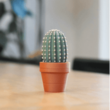 Load image into Gallery viewer, Potted Plant Stress Relief Toy