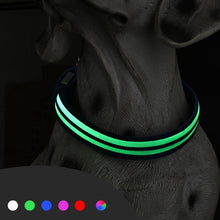 Load image into Gallery viewer, Dual Fiber Nighttime Luminous Dog Collar
