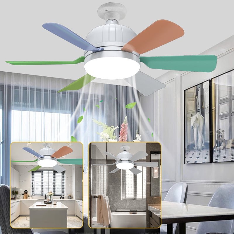 Ceiling Fan with LED Light