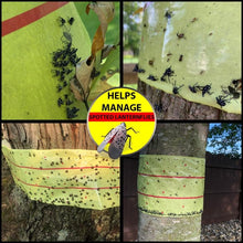 Load image into Gallery viewer, Extra-Sticky Fly Trap Roll