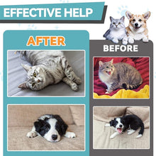Load image into Gallery viewer, Puppy Yeast Relief Agent