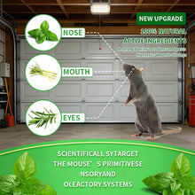Load image into Gallery viewer, Ultra Effective &amp; Safe Mouse Repellent Balls