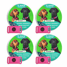 Load image into Gallery viewer, 12 Months Flea and Tick Free