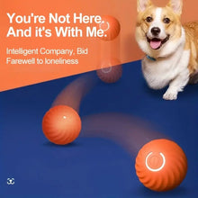 Load image into Gallery viewer, Electric Rolling Pet Toy Ball