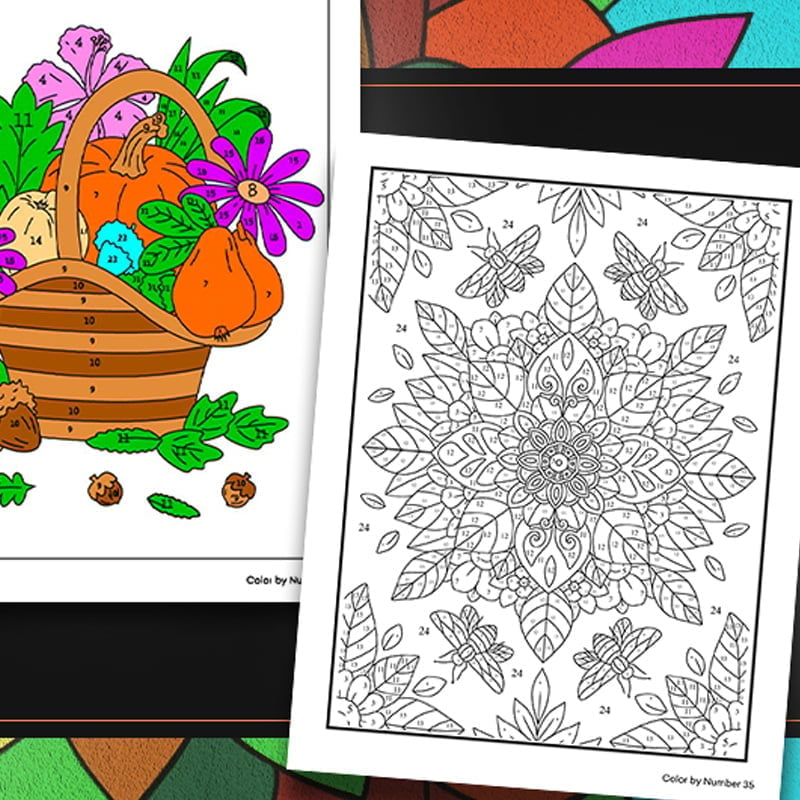 Color By Number Coloring Book for Adults