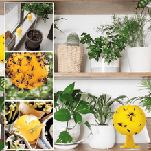 Load image into Gallery viewer, Yellow sticky insect ball