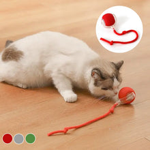 Load image into Gallery viewer, Indoor Cat Interactive Ball