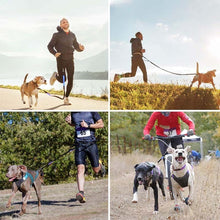 Load image into Gallery viewer, Hands Free Dog Leash With Zipper Pouch