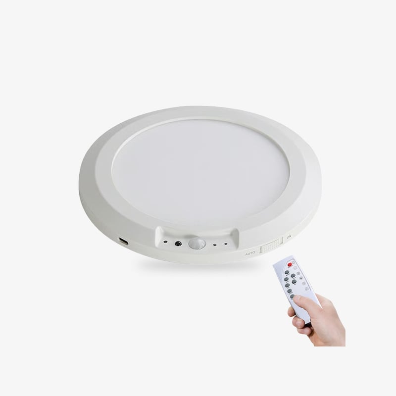 Motion Sensor Ceiling Light