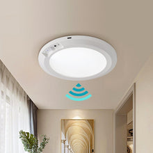 Load image into Gallery viewer, Motion Sensor Ceiling Light