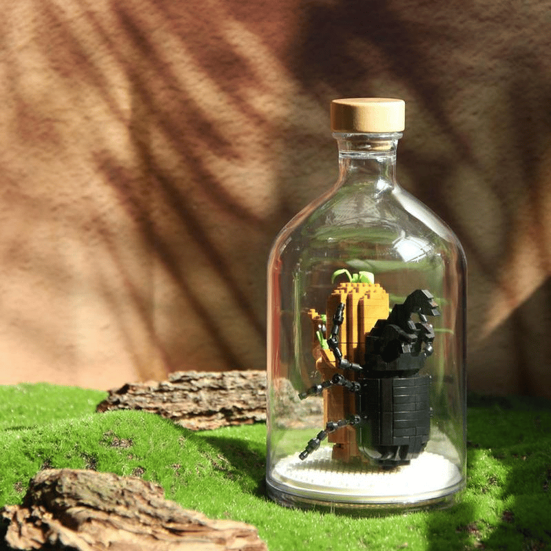 Insect Collection Building Blocks with Glass Display Bottle
