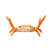 Load image into Gallery viewer, 🦀 Crab Weightlifting Pen Holder