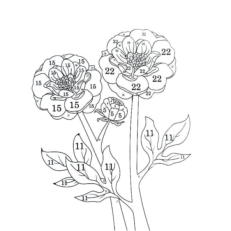 Color By Number Coloring Book for Adults
