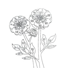 Load image into Gallery viewer, Color By Number Coloring Book for Adults