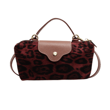 Load image into Gallery viewer, Women's Fashion Colorblock Mini Crossbody Bag