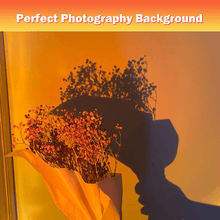 Load image into Gallery viewer, Projection floor lamp