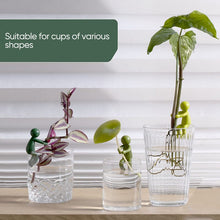 Load image into Gallery viewer, Plant Propagation Buddy