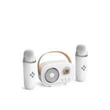 Load image into Gallery viewer, Portable Bluetooth Speaker with Wireless Microphone