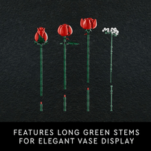 Load image into Gallery viewer, 3D preserved flower assembly toy