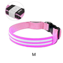 Load image into Gallery viewer, Dual Fiber Nighttime Luminous Dog Collar