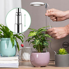 Load image into Gallery viewer, Indoor Plant Growth Light