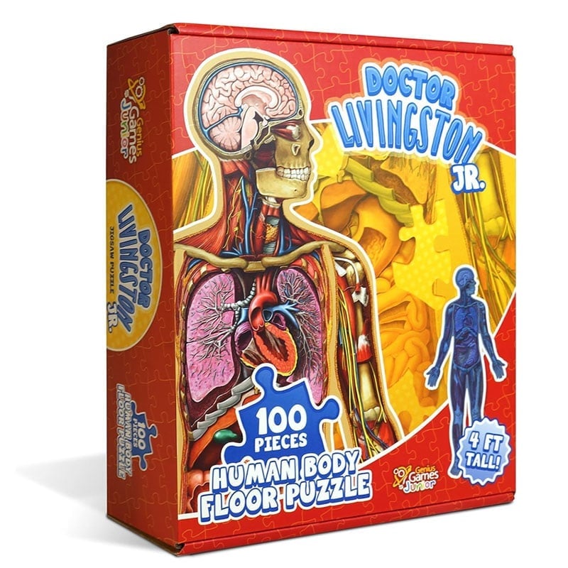 Human Anatomy Puzzle for Kids