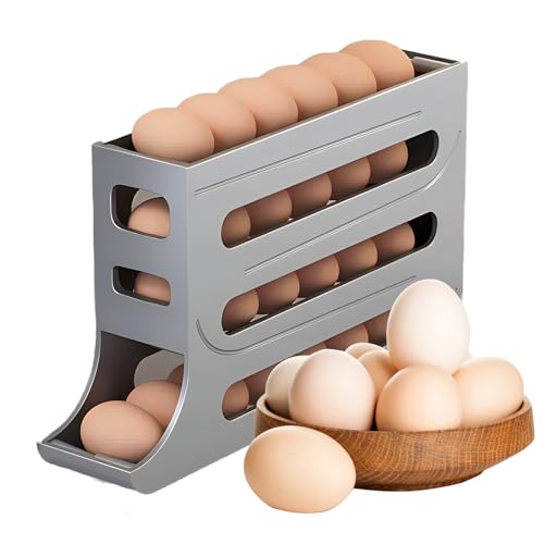 Refrigerator Egg Storage Box