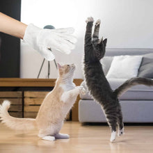 Load image into Gallery viewer, Pet Glove Wipes for Dogs &amp; Cats