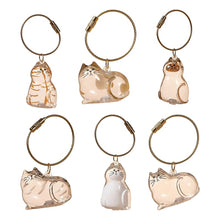 Load image into Gallery viewer, Cat Fur Keepsake Keychain – Transparent Memory Pendant for Pet Hair Storage