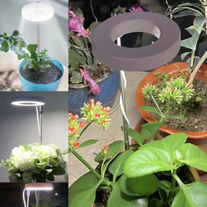 Indoor Plant Growth Light