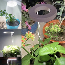 Load image into Gallery viewer, Indoor Plant Growth Light