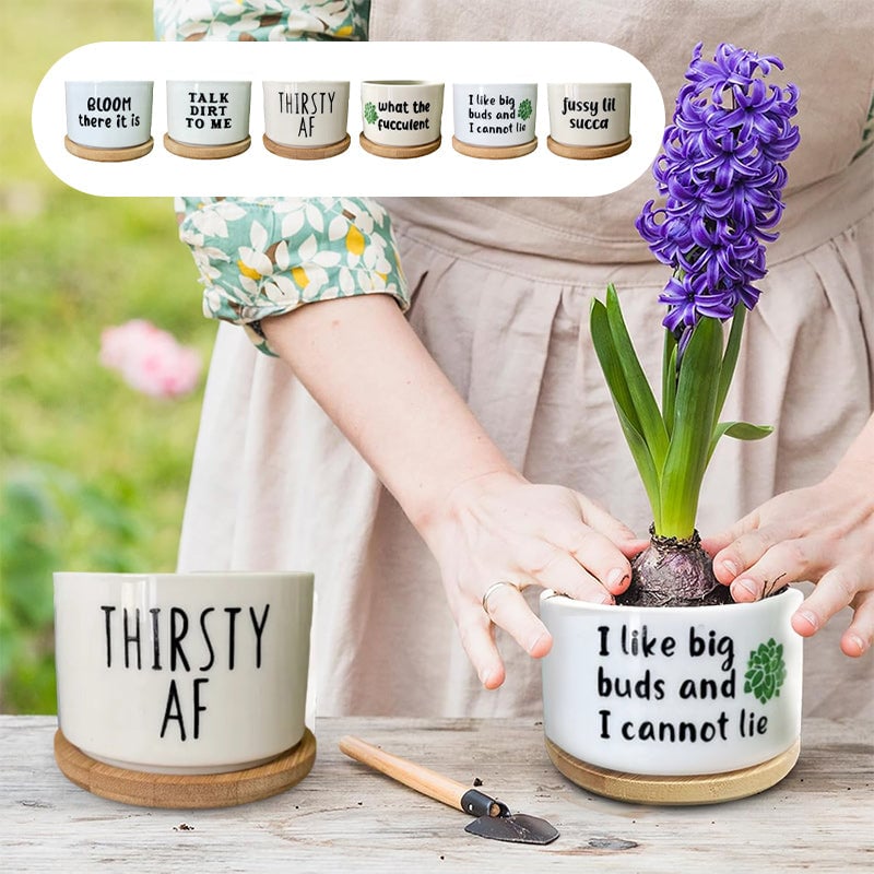 Funny Unique Succulent Pots