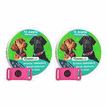 Load image into Gallery viewer, 12 Months Flea and Tick Free